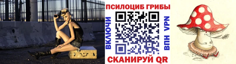 Псилоцибиновые грибы Psilocybe  Клинцы 